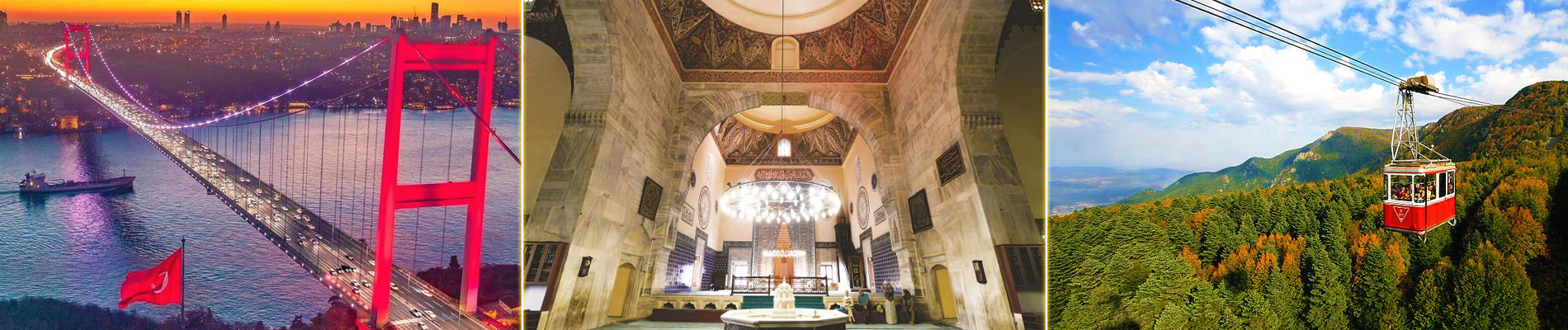 banner for organized trips_0.06939200-1759316559.jpg